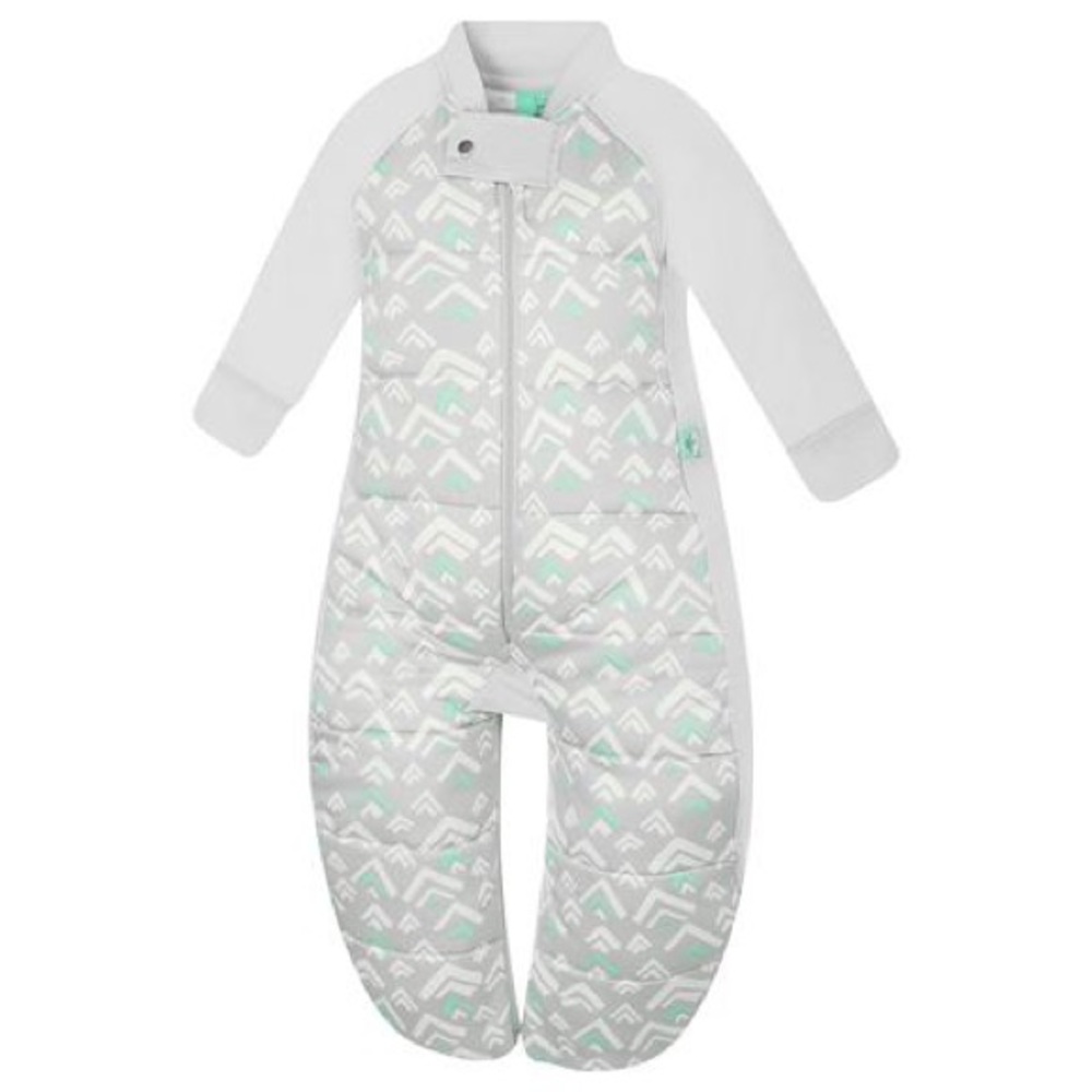 ergoPOUCH Sleep Suit Bag 2.5 tog, 8-24M, NWOT